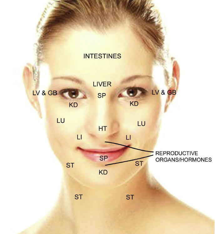 Facial Acupuncture Points Chart